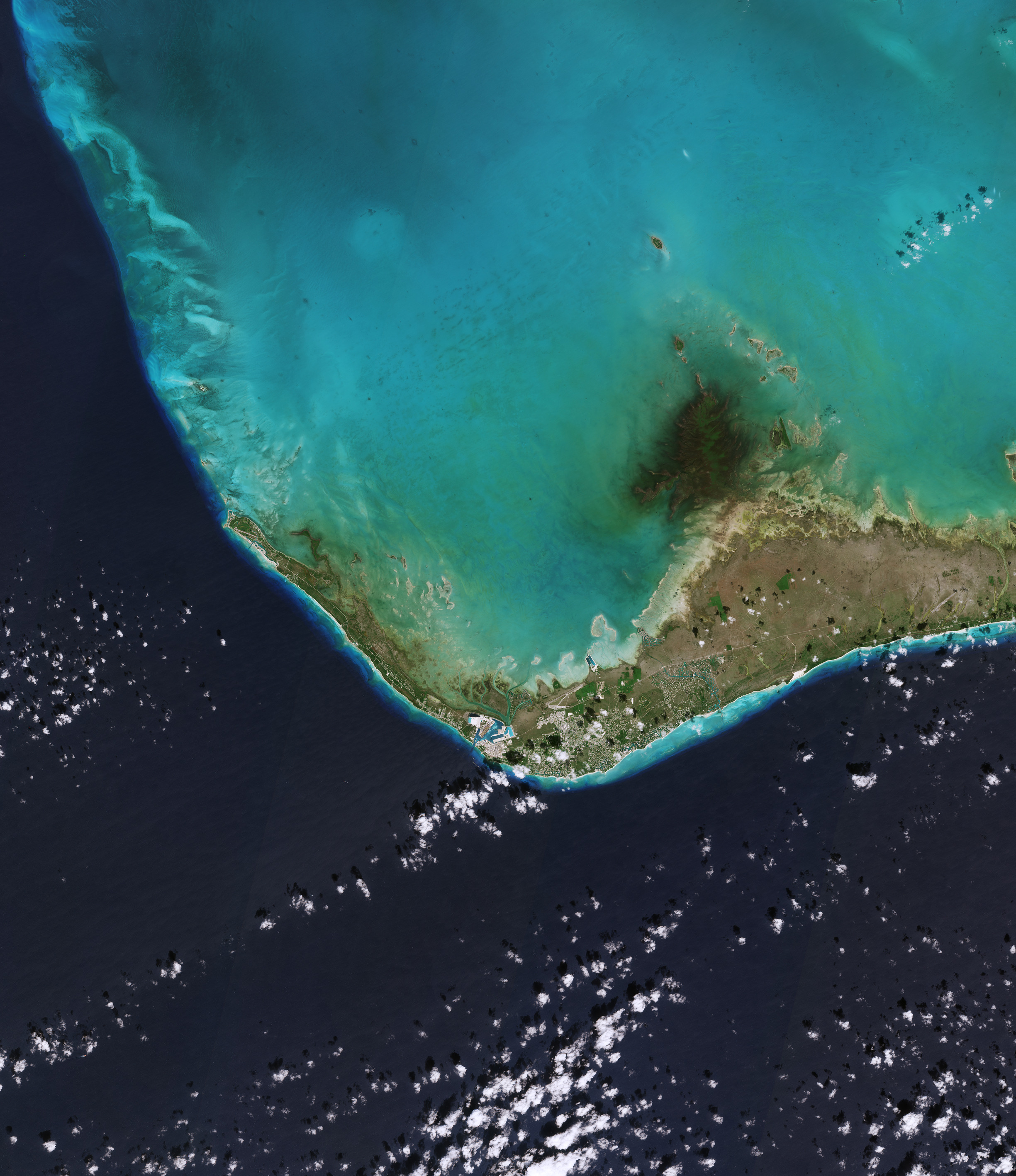 ESA - Immagine della settimana: Isola di Grand Bahama (09 giugno 2024)